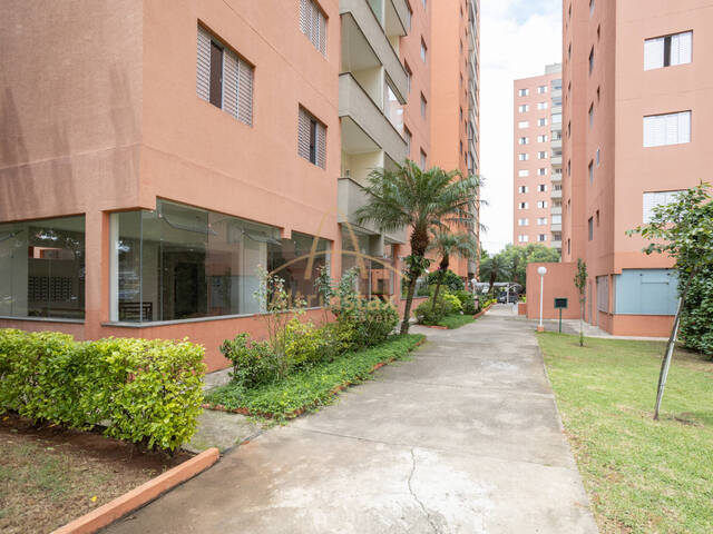 #431 - Apartamento para Venda em Osasco - SP - 3