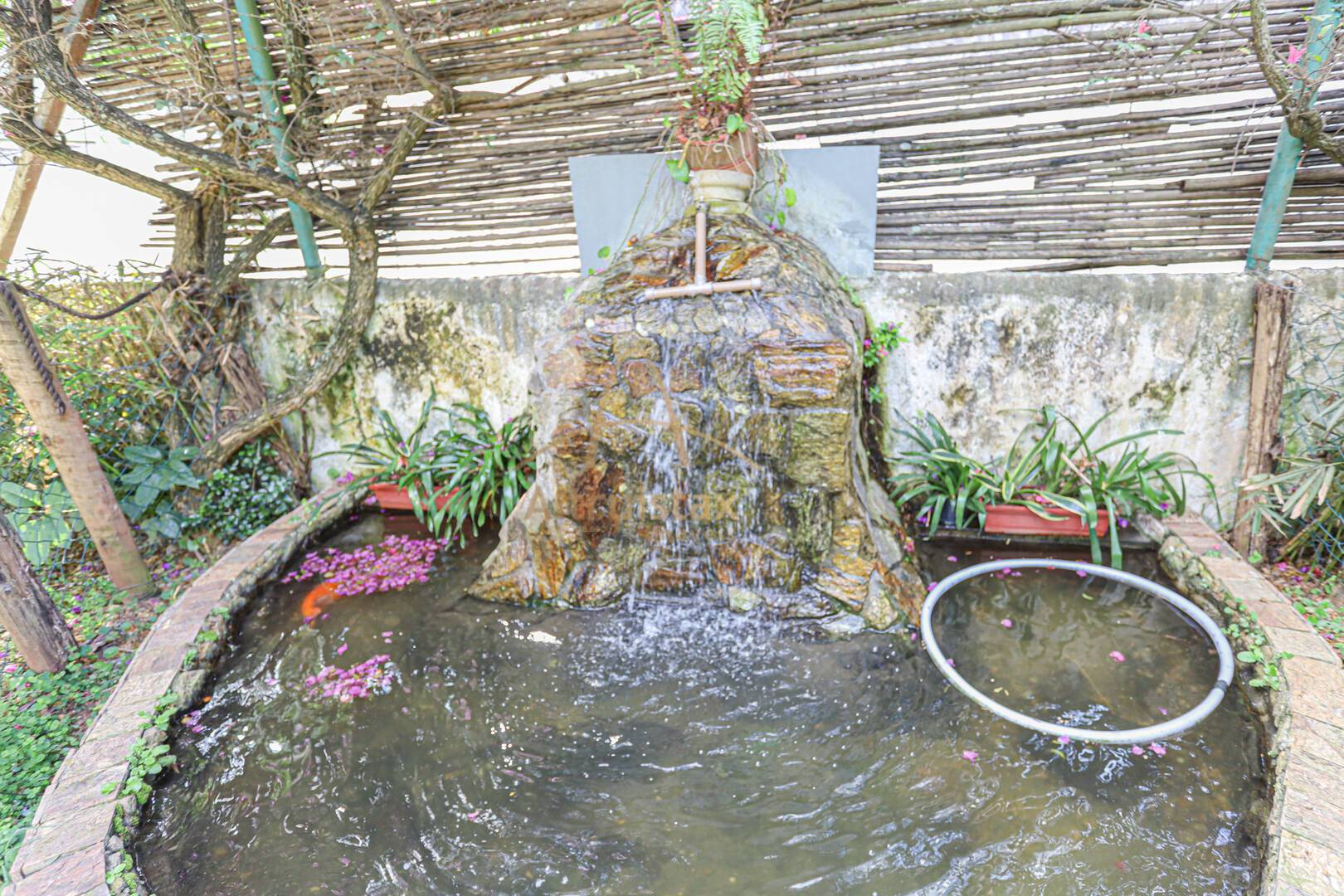 Apartamento, 3 quartos, 60 m² - Foto 16